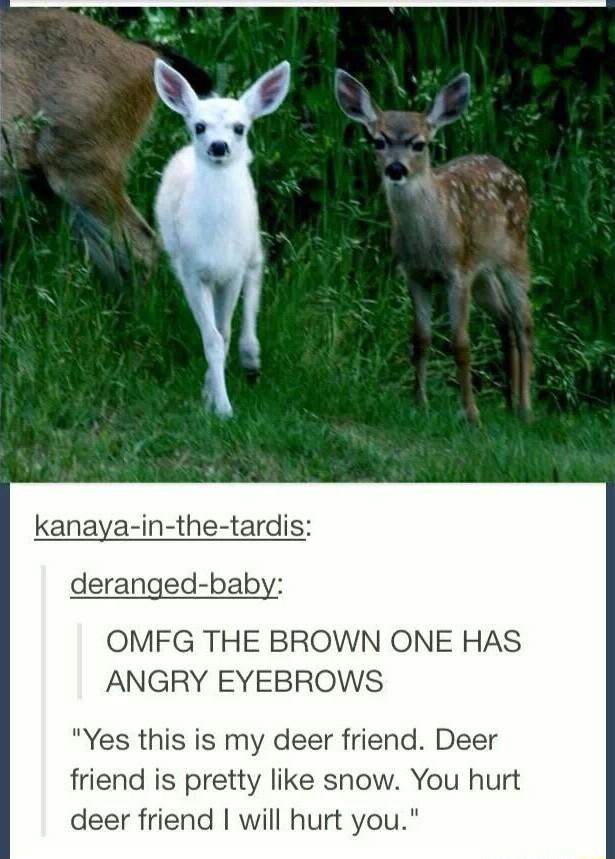 kanaya in the tardis deranged baby OMFG THE BROWN ONE HAS ANGRY EYEBROWS Yes this is my deer friend Deer friend is pretty like snow You hurt deer friend will hurt you
