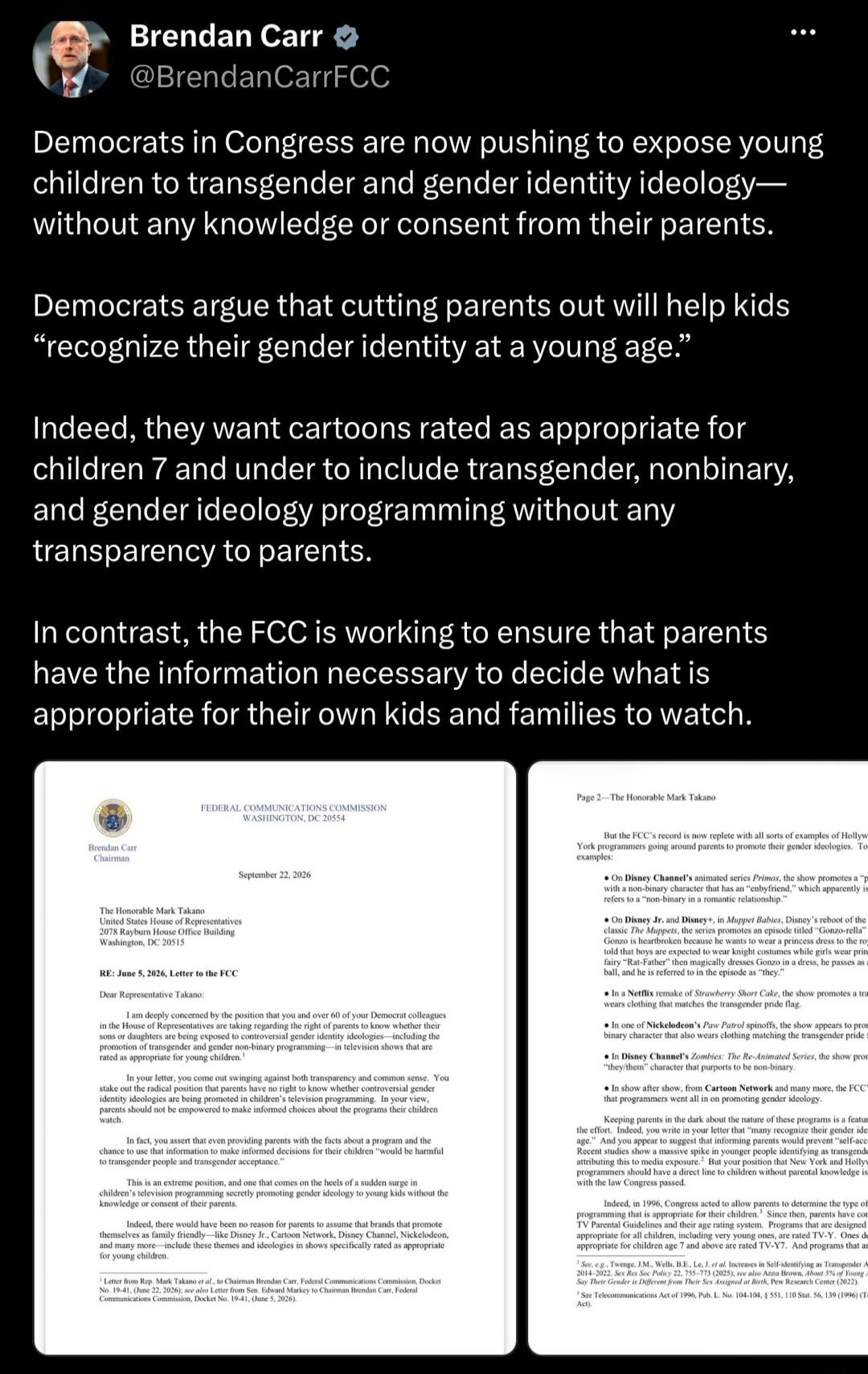 Brendan Carr, a commissioner at the FCC, states that Democrats in Congress are promoting transgender and gender identity ideology to young children without parental knowledge or consent. He claims they argue that excluding parents helps children recognize their gender identity early and that cartoons for children aged 7 and under are being pushed t