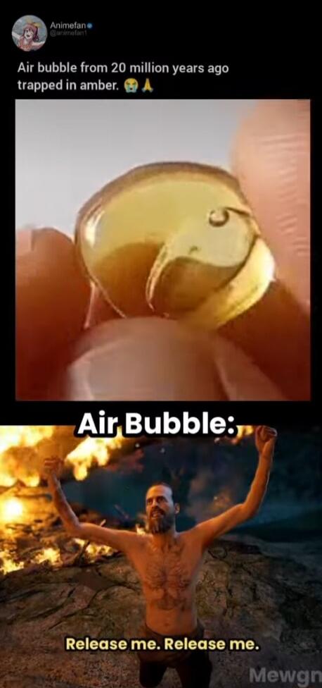 Air bubble from 20 million years ago trapped in amber. Air Bubble: Release me. Release me.