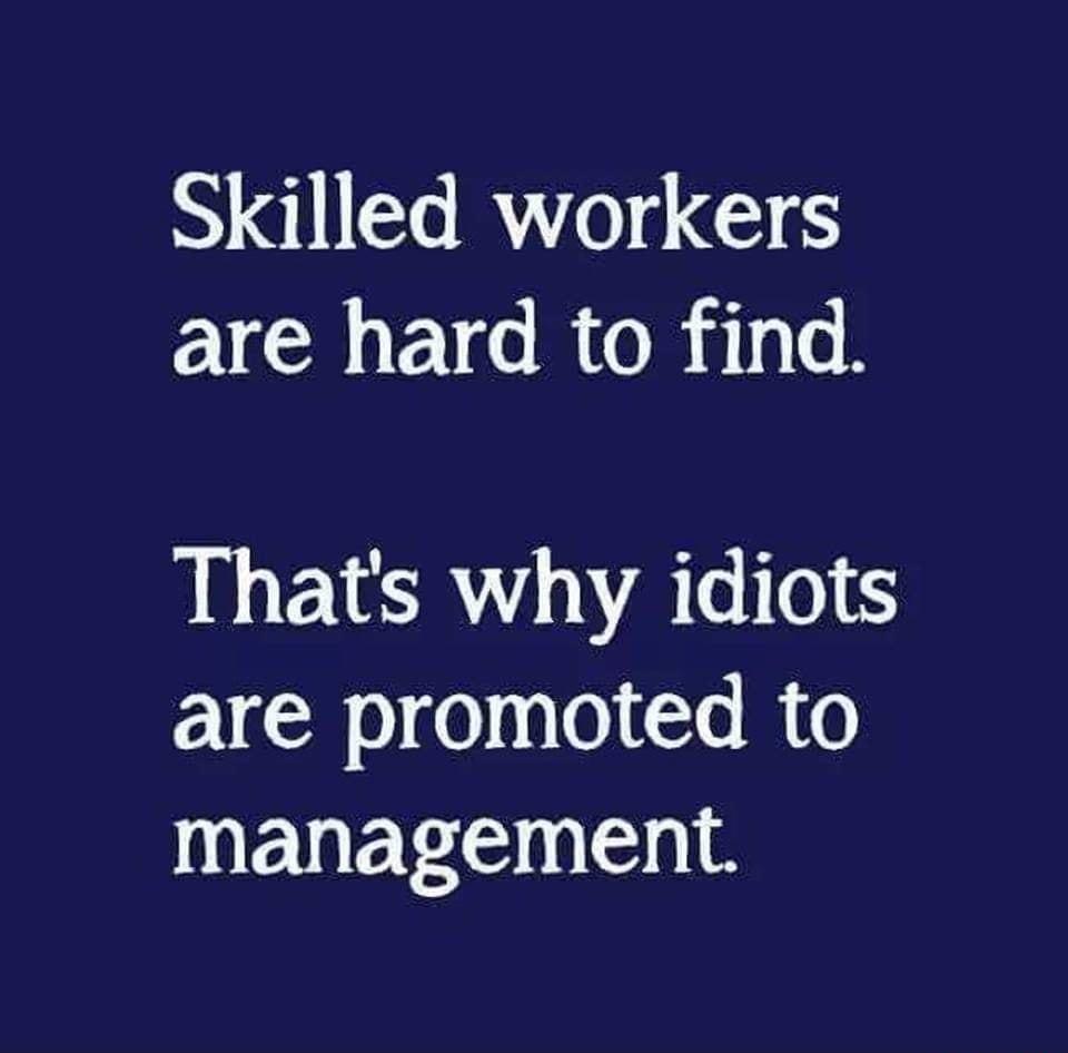 N QIERY 0 G are hard to find Thats why idiots are promoted to management