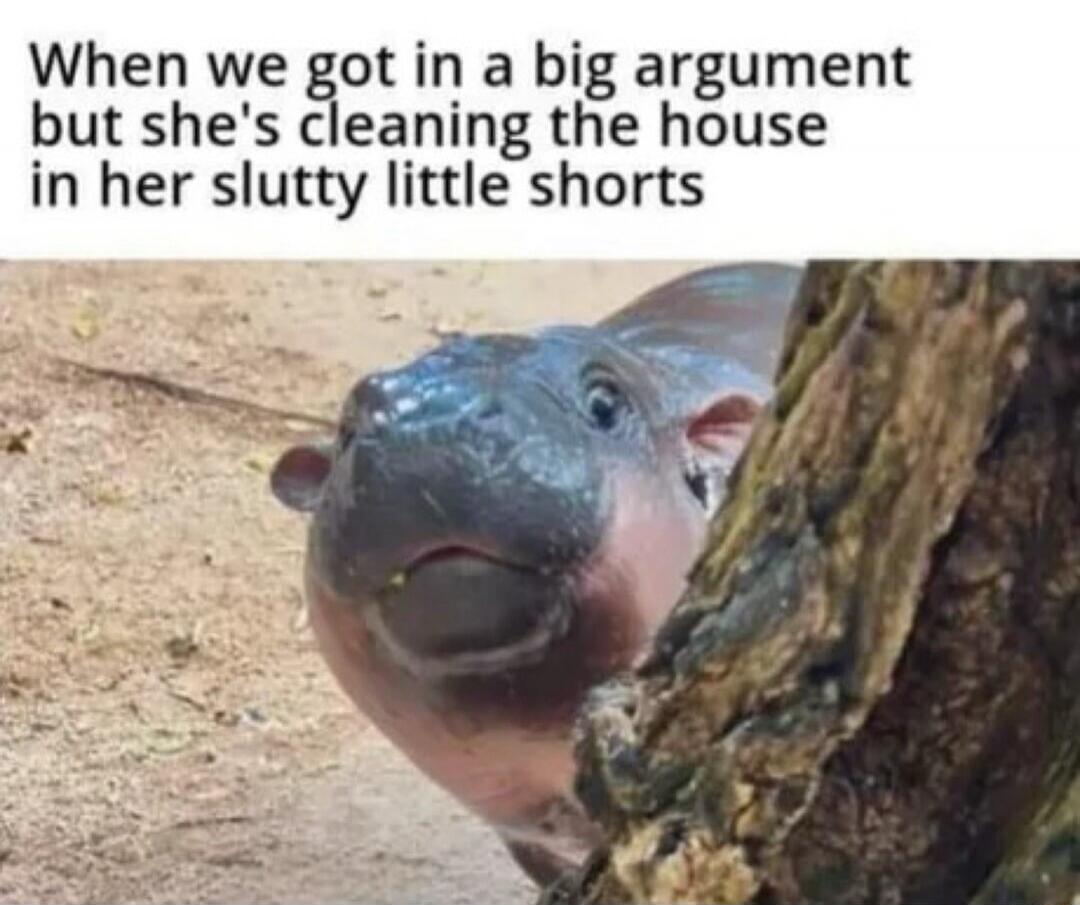 When we got in a big argument but she's cleaning the house in her slutty little shorts