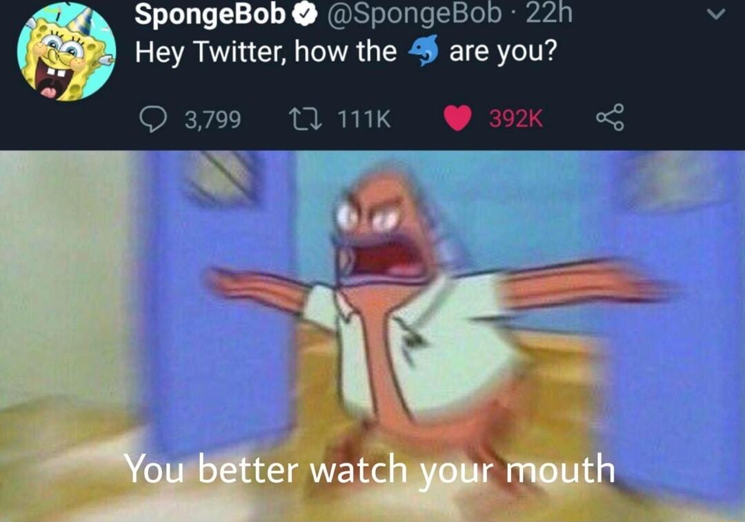 SpongeBob SpongeBob 271 Hey Twitter how the are you Q 3799 13 111K