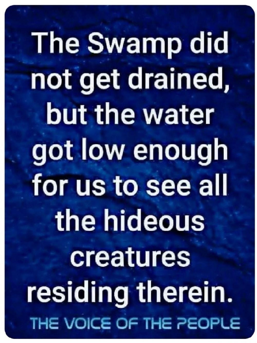 The Swamp did not get drained but the water got low enough for us to see all the hideous creatures SR GE IR THE VOICE OF THE PEOPLE