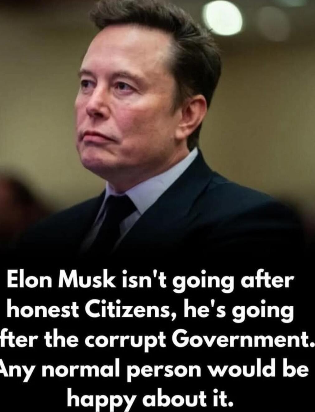 Elon Musk isn't going after honest Citizens, he's going after the corrupt Government. Any normal person would be happy about it.