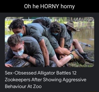 Oh he HORNY horny Sex Obsessed Alligator Battles 12 Zookeepers After Showing Aggressive Behaviour At Zoo