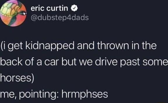 eric curtin I EEGEL KelSidlelaFToTolTo Rolnto RialeWWIaWIaRipl back of a car but we drive past some horses me pointing hrmphses