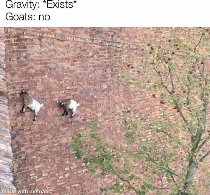 4 R Son N PR with mamtic