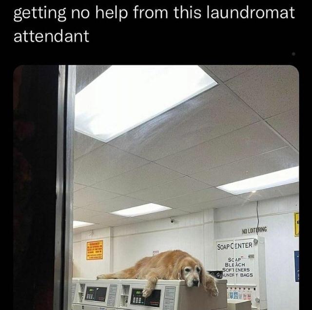 getting no help from this laundromat attendant