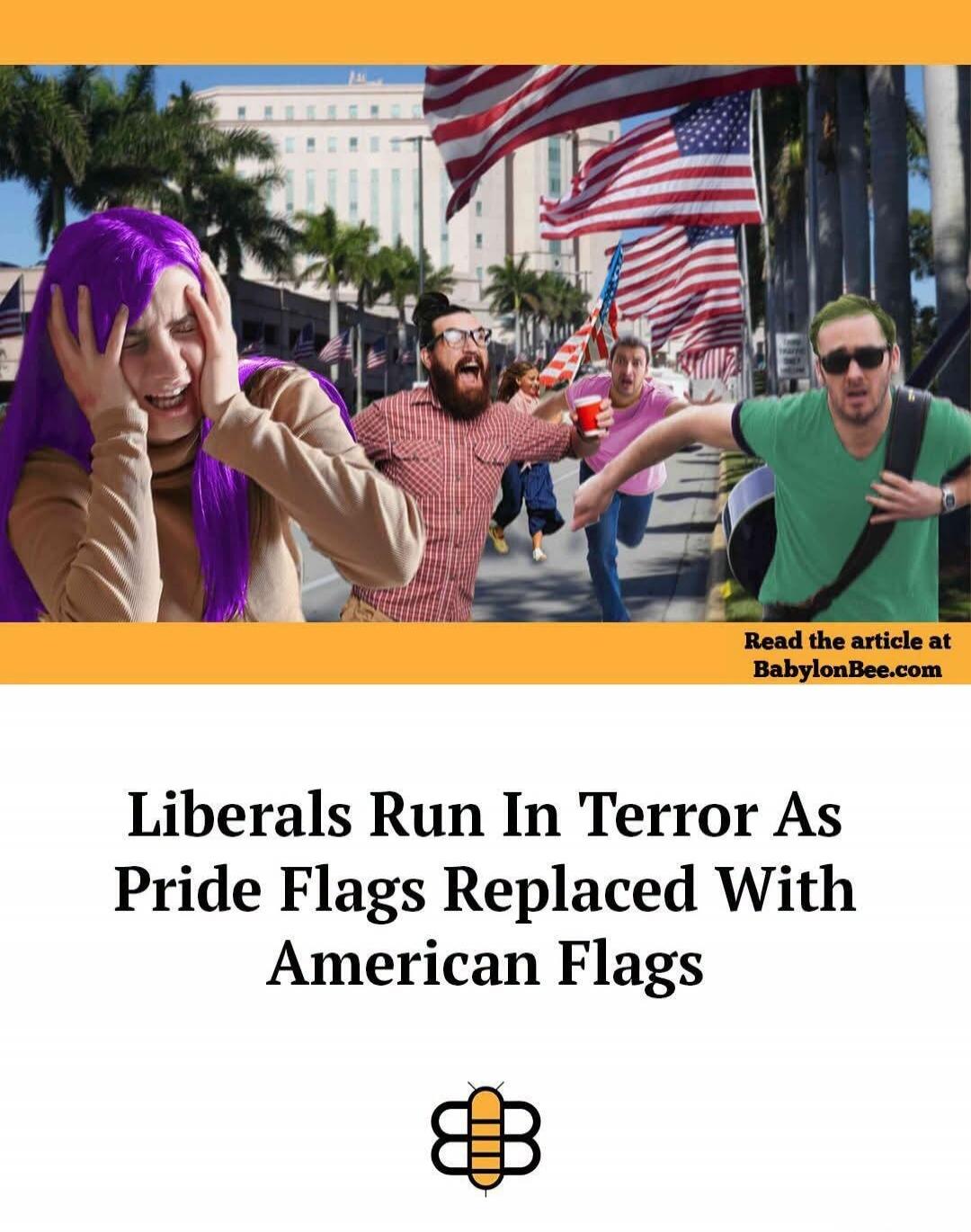 Read the article at BabylonBee.com Liberals Run In Terror As Pride Flags Replaced With American Flags