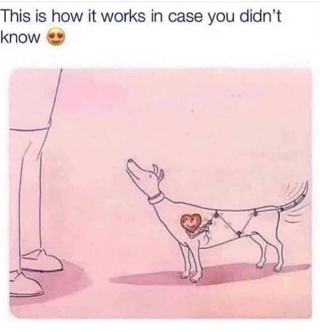 This is how it works in case you didnt know 4 I