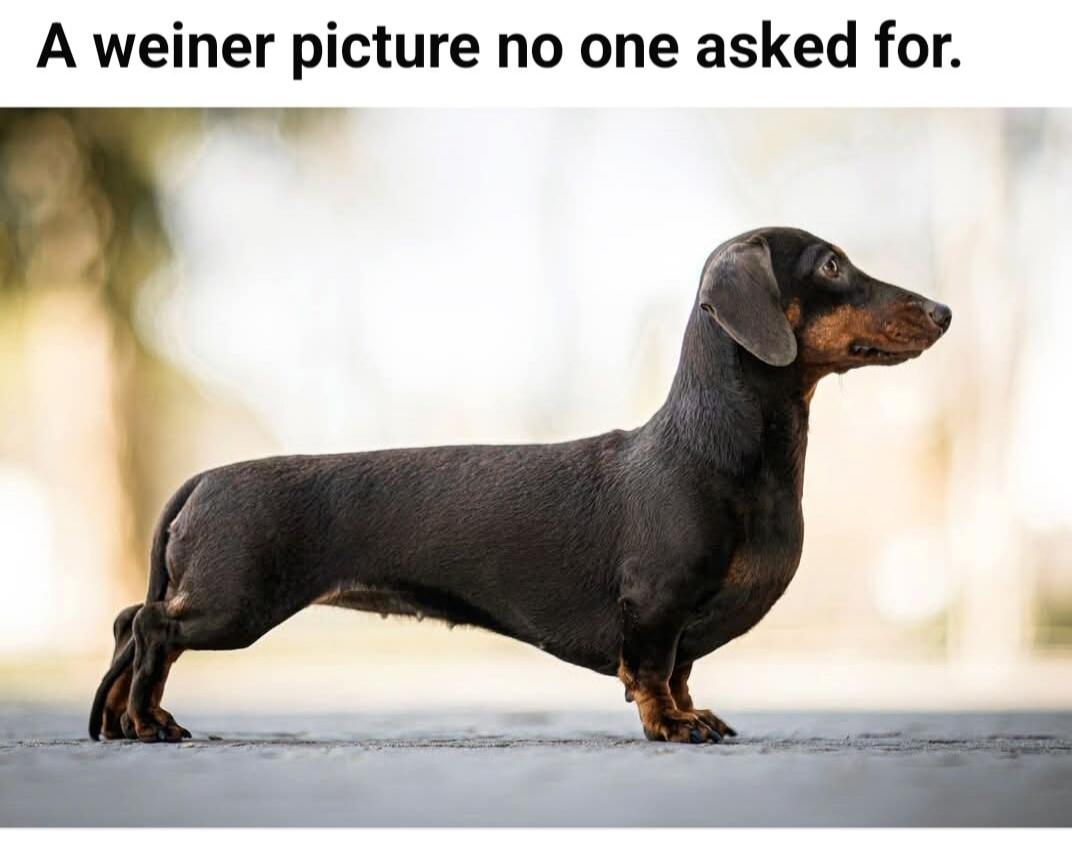 A weiner picture no one asked for.