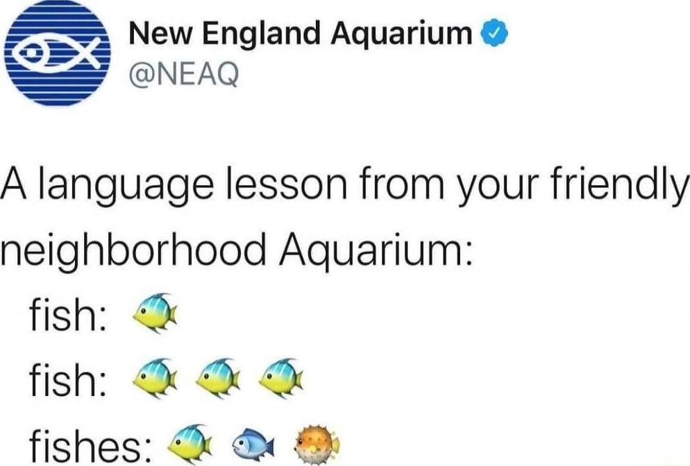 A language lesson from your friendly neighborhood Aquarium:
fish: 🐟
fish: 🐟🐟
fishes: 🐟🐠🦀
