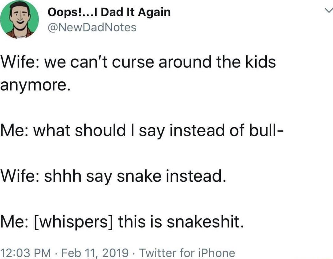 OopsI Dad It Again NewDadNotes Wife we cant curse around the kids anymore Me what should say instead of bull Wife shhh say snake instead Me whispers this is snakeshit 1203 PM Feb 11 2019 Twitter for iPhone