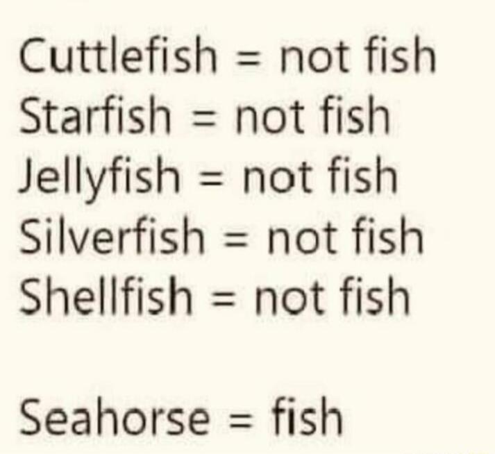 Cuttlefish not fish Starfish not fish Jellyfish not fish Silverfish not fish Shellfish not fish Seahorse fish