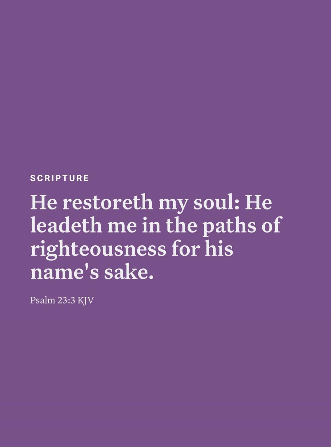 SCRIPTURE He restoreth my soul: He leadeth me in the paths of righteousness for his name's sake. Psalm 23:3 KJV