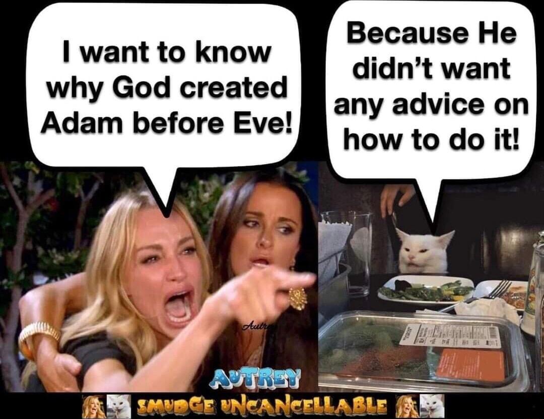 Because He didnt want any advice on how to do it want to know why God created Adam before Eve