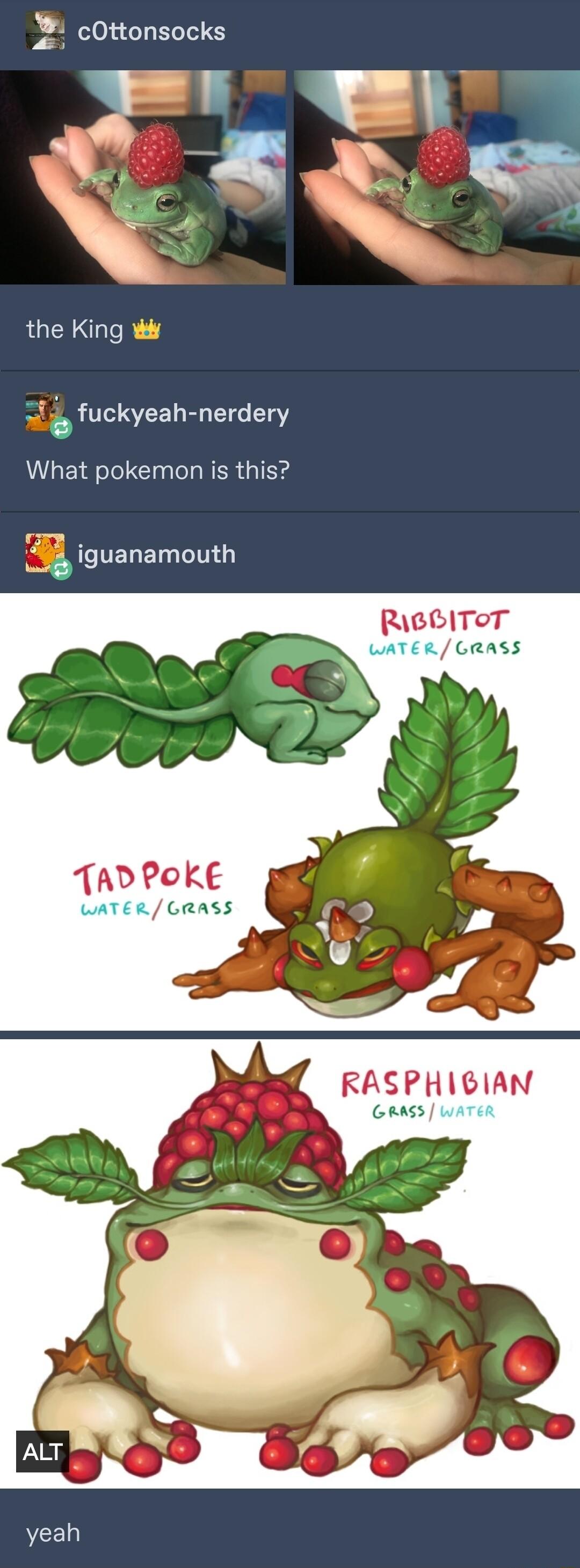 2 cOttonsocks the King fuckyeah nerdery What pokemon is this oy S L DELET T RGBITOT orass RASPHIGIAN Grass