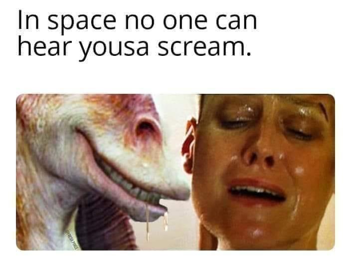 In space no one can hear yousa scream T