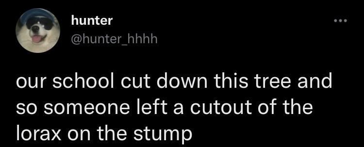 2 hunter 0 hunter_hhhh our school cut down this tree and so someone left a cutout of the lorax on the stump