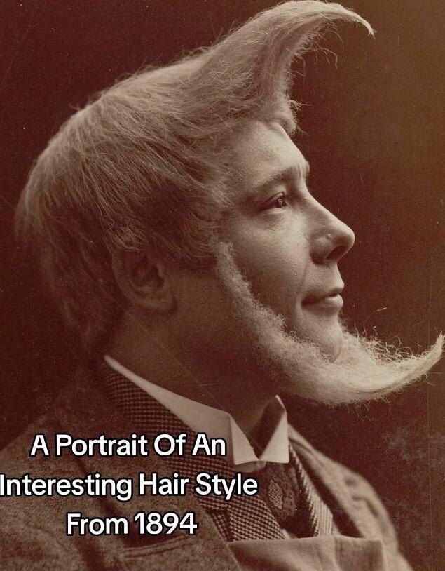 A Portrait Of An Interestlng Hair Style b 3 From 1894