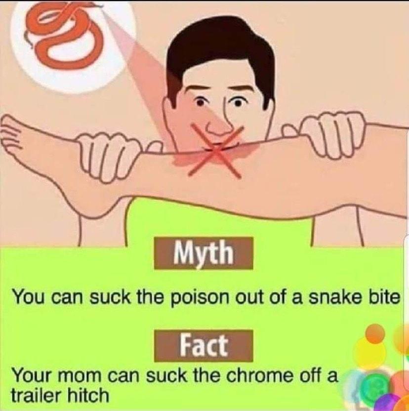 You can suck the poison out of a snake bite Fact 2 Your mom can suck the chrome off a trailer hitch