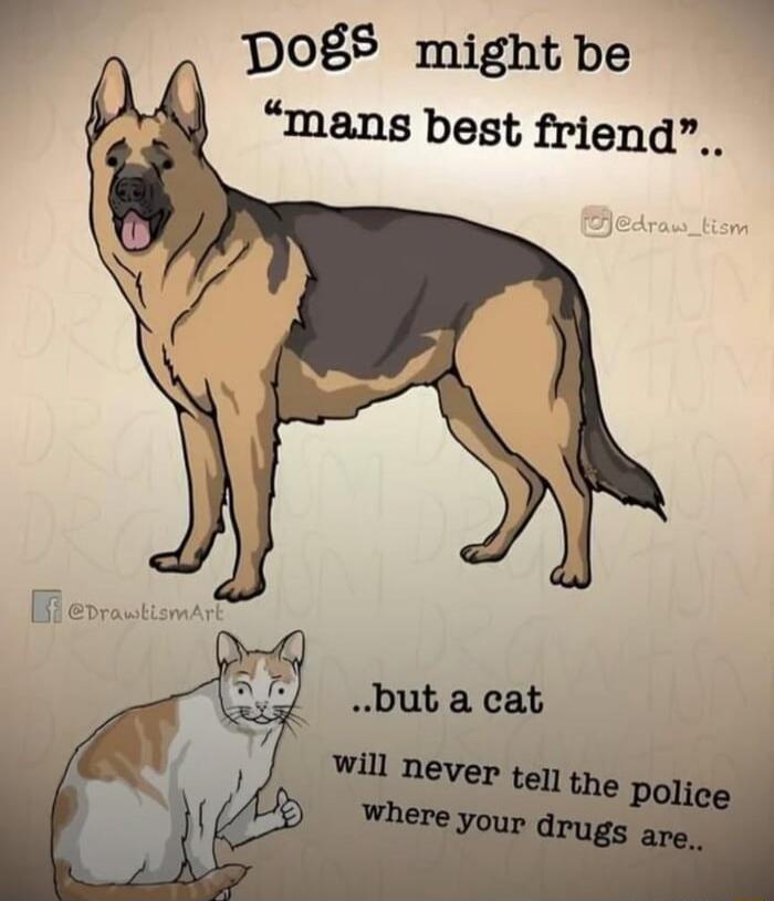 Dogs might be 'man's best friend'.. but a cat will never tell the police where your drugs are..