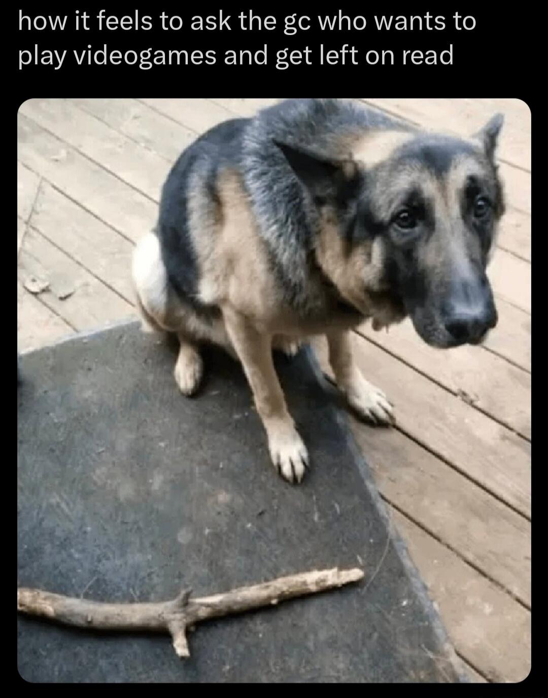 how it feels to ask the gc who wants to play videogames and get left on read