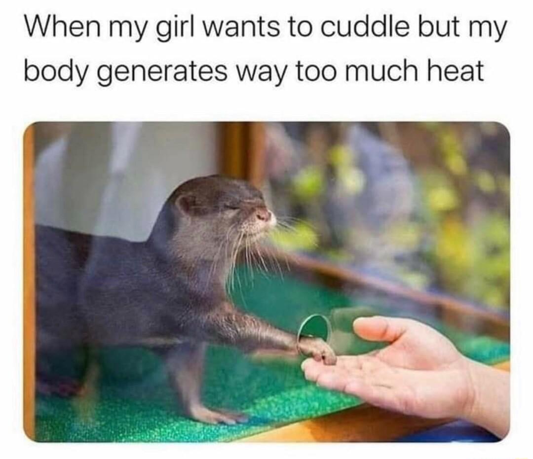 When my girl wants to cuddle but my body generates way too much heat