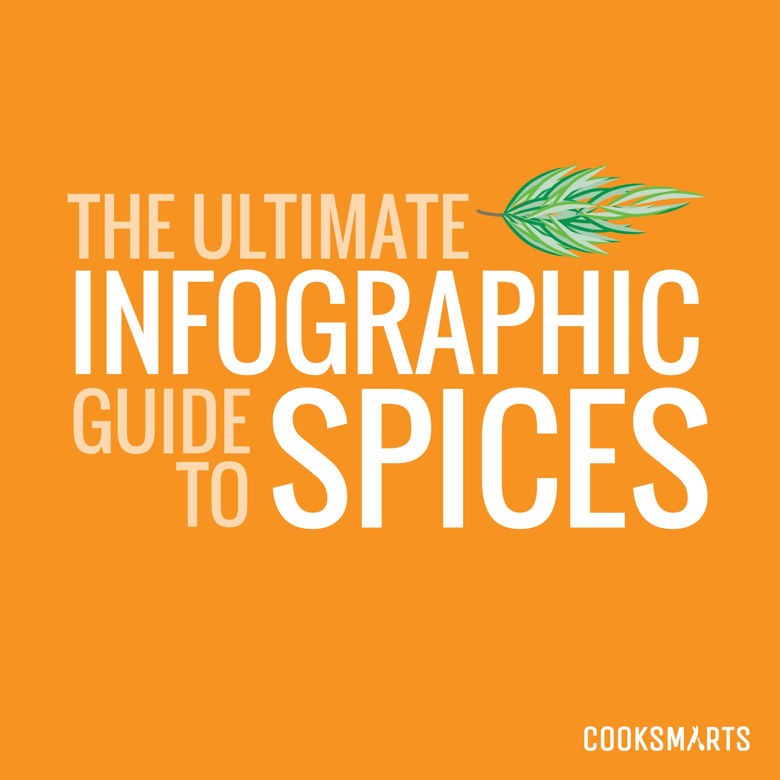 THE ULTIMATE INFOGRAPHIC 1 SPIGES