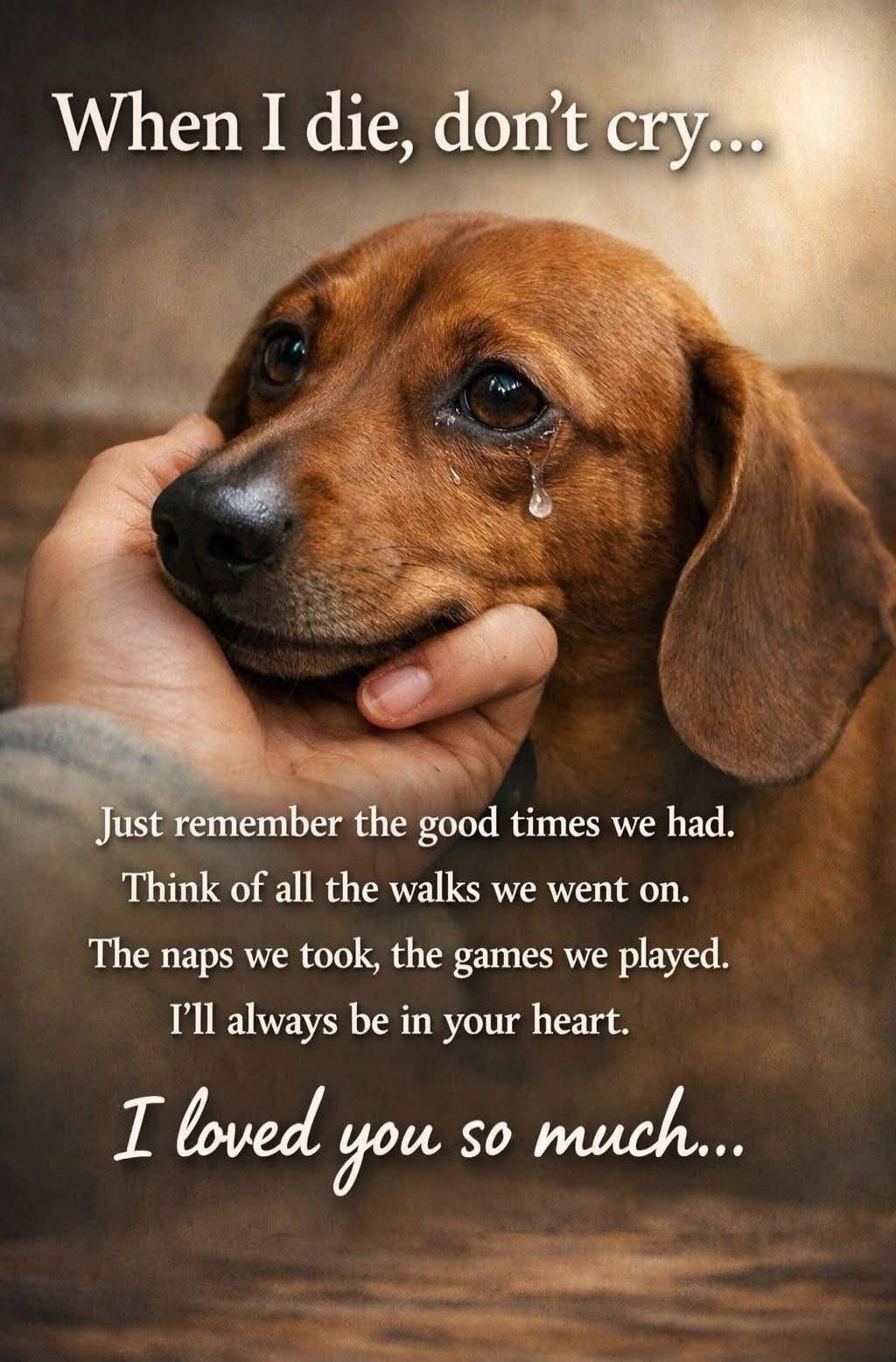 When I die, don’t cry...

Just remember the good times we had.
Think of all the walks we went on.
The naps we took, the games we played.
I’ll always be in your heart.

I loved you so much...