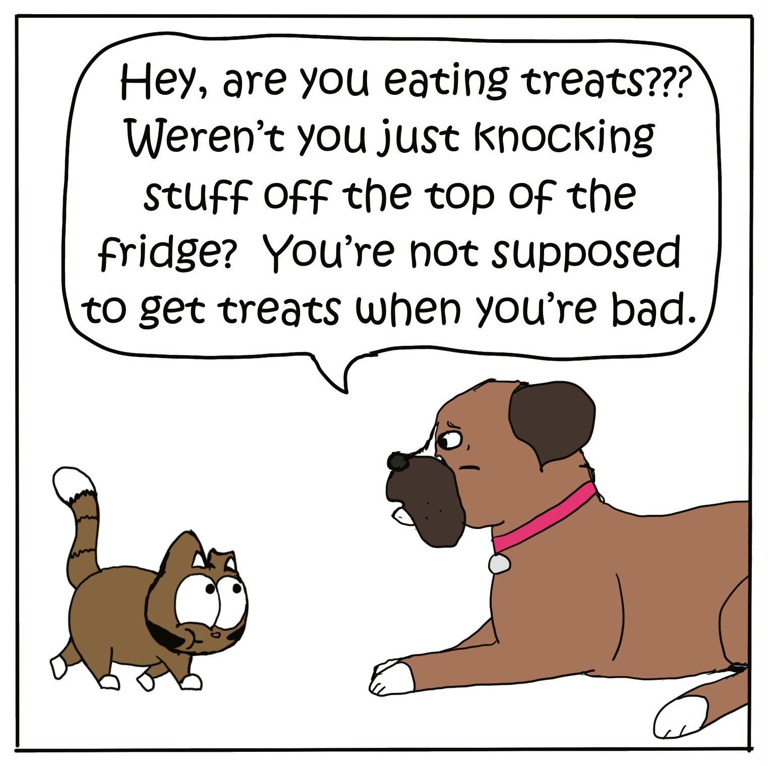Hey are you eating treqts Werent you just KnocKing StUFF OFF the top Of the fridge Youre not supposed t0 get treats when youre bad