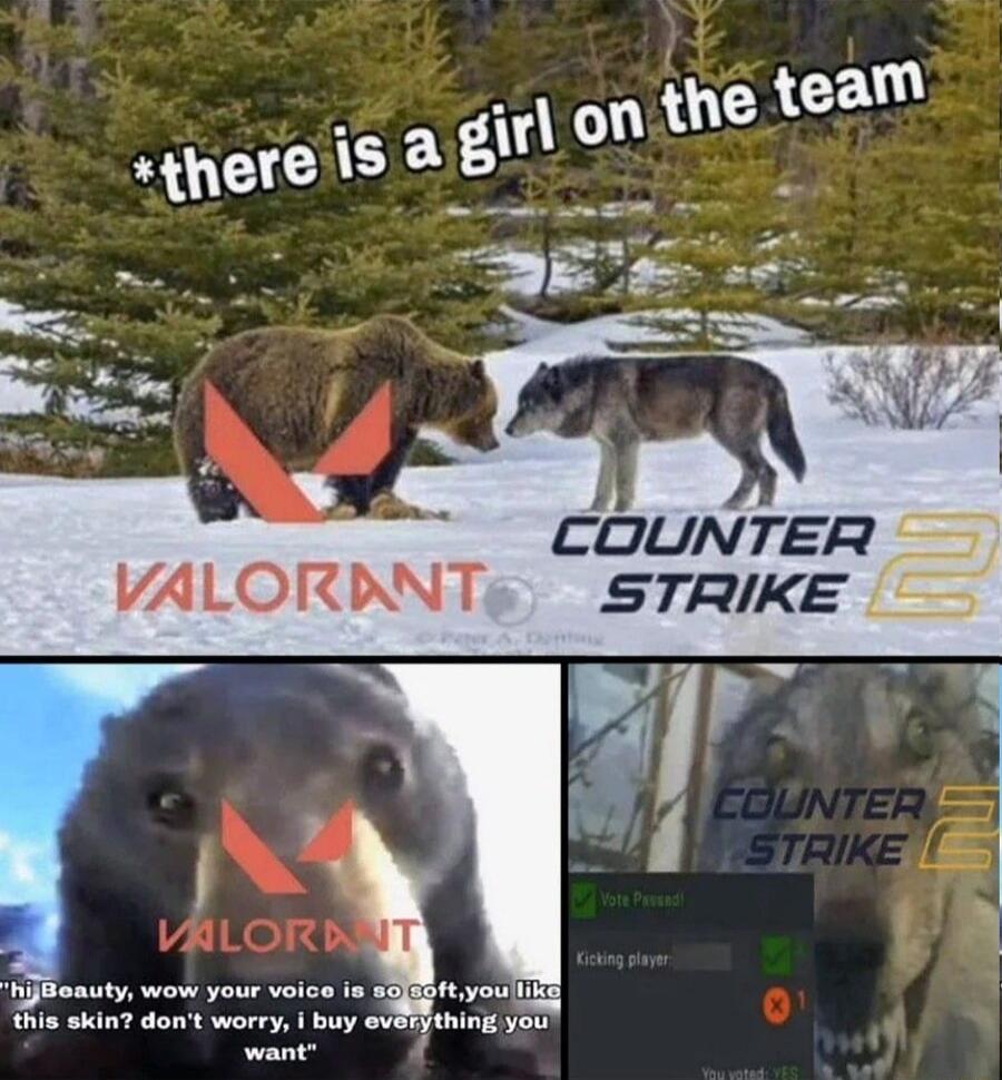 A COUNTER VALORDNT