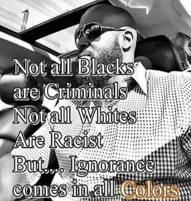 Not all Blacks are Criminals Not all Whites Are Racist But.... Ignorance comes in all Colors