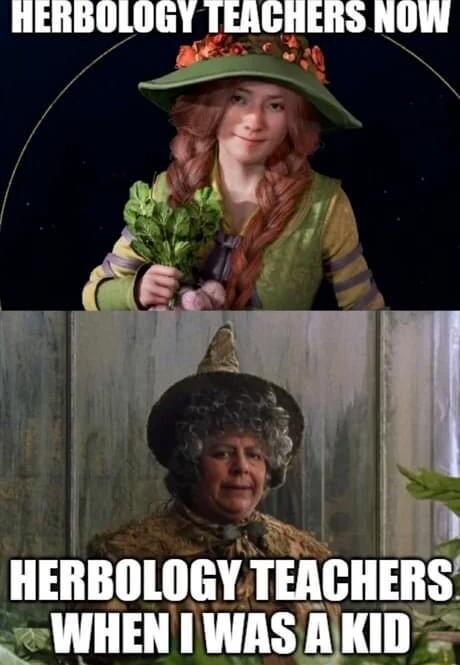 HERBOLOGY TEAGHERS NOW c L4 HERBOLOGY IEMIIEIIS WHEN I WAS AKKID