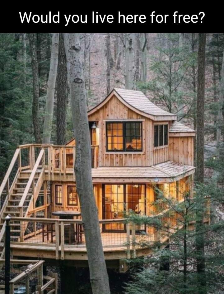 Would you live here for free