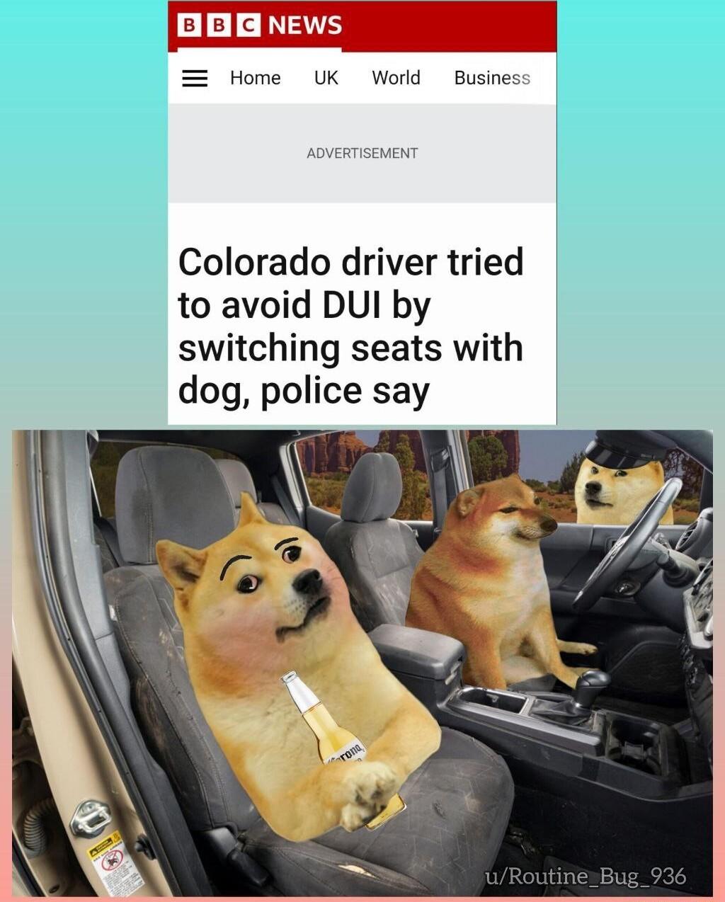 NEWS Home UK Word Busines Colorado driver tried to avoid DUI by switching seats with dog police say