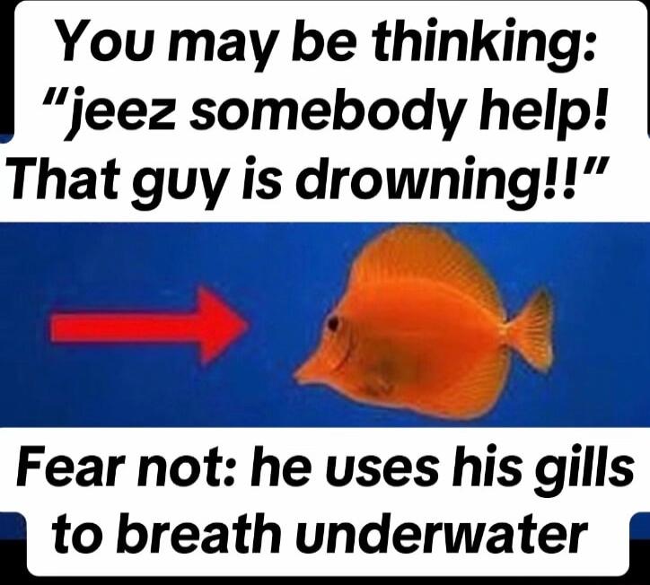 You may be thinking jeez somebody help That guy is drowning Fear not he uses his gills l to breath underwater l