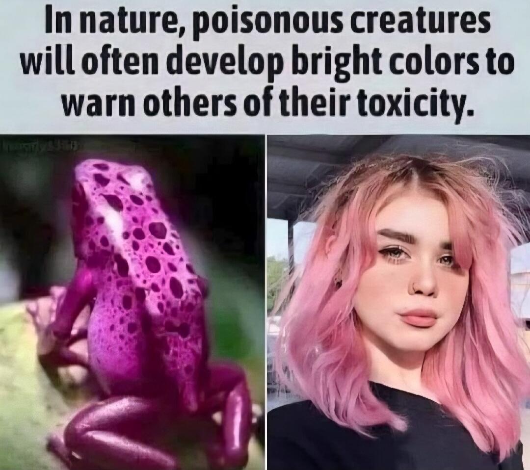 In nature, poisonous creatures will often develop bright colors to warn others of their toxicity.