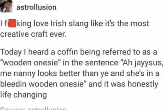 astrollusion fillking love Irish slang like its the most creative craft ever Today heard a coffin being referred to as a wooden onesie in the sentence Ah jayysus me nanny looks better than ye and shes in a bleedin wooden onesie and it was honestly life changing