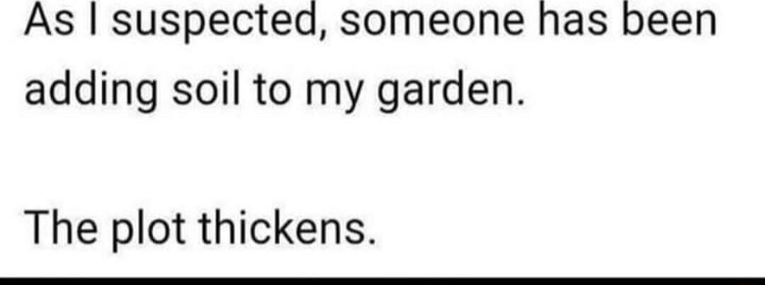 As suspected someone has been adding soil to my garden The plot thickens