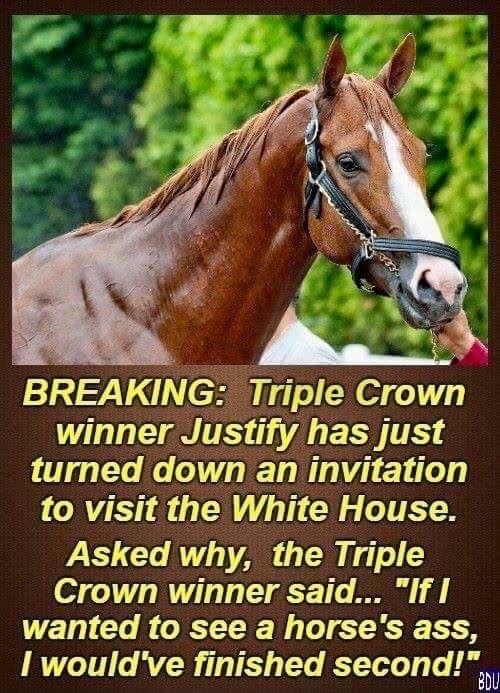 Triple Crown LE TSA EI TE LT Xo J LX TT RET TN Ei Lo to visit the White House Asked why the Triple Crown winner said If ETL Clo J ORT1 RE Wy Lo RG OA I wouldve finished second