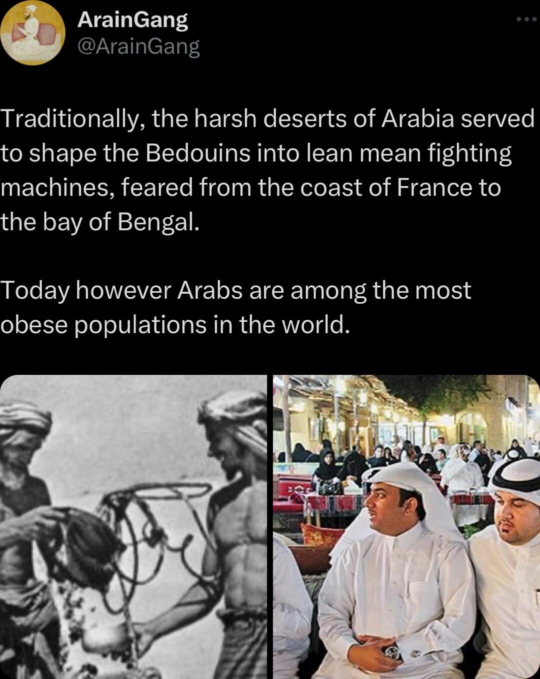ArainGang ArainGang Traditionally the harsh deserts of Arabia served to shape the Bedouins into lean mean fighting machines feared from the coast of France to the bay of Bengal Today however Arabs are among the most obese populations in the world