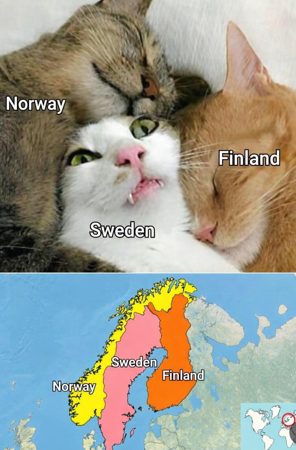 Norway, Sweden, Finland. A meme showing three cats cuddling, with the middle cat (Sweden) looking squished between the other two (Norway and Finland). Below, a map illustrates the geographical positions of Norway, Sweden, and Finland, with Sweden situated between Norway and Finland.