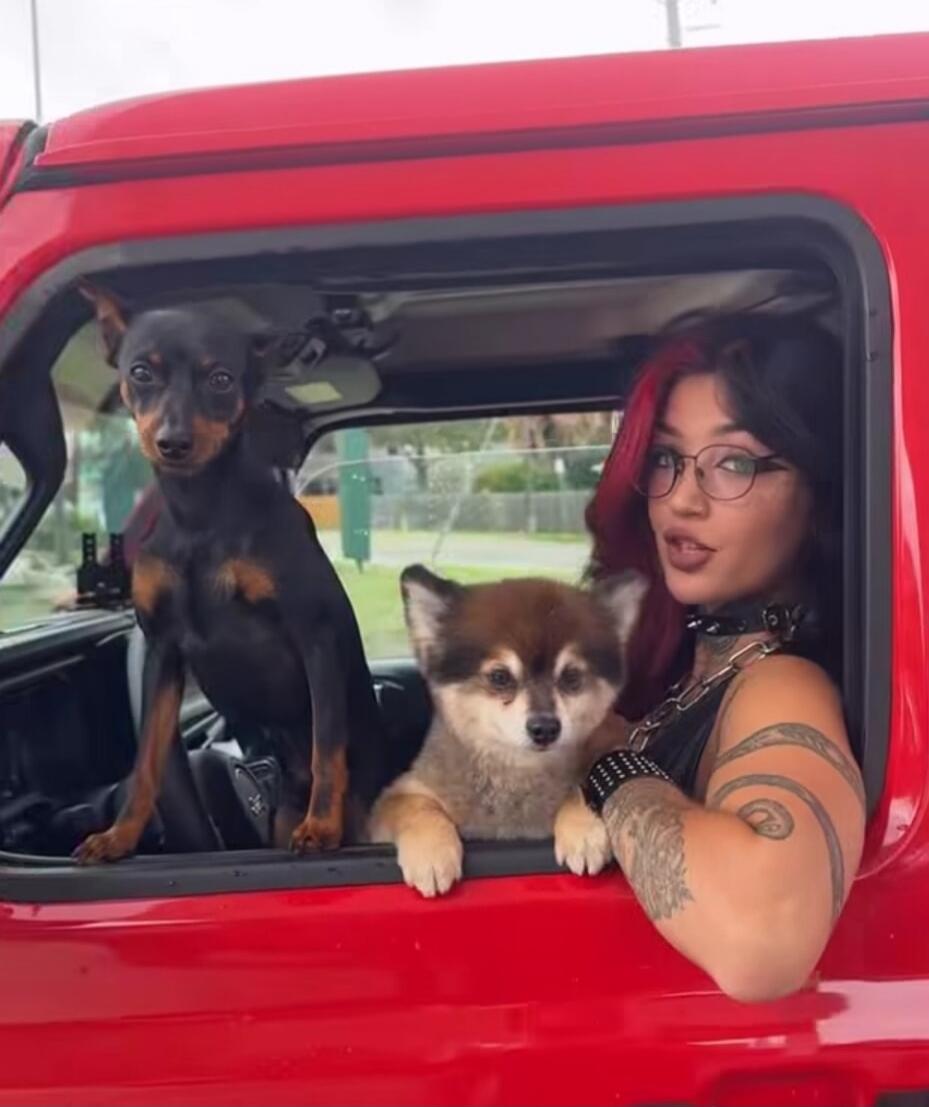 A woman with red and black hair, wearing glasses and a choker, is sitting in a red car with two dogs. One dog is a black and tan miniature pinscher type, and the other is a fluffy brown and cream dog. All three are looking out the car window.