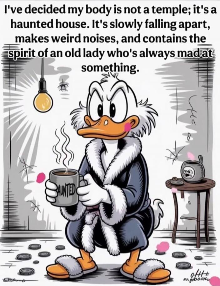 I've decided my body is not a temple; it's a haunted house. It's slowly falling apart, makes weird noises, and contains the spirit of an old lady who's always mad at something.