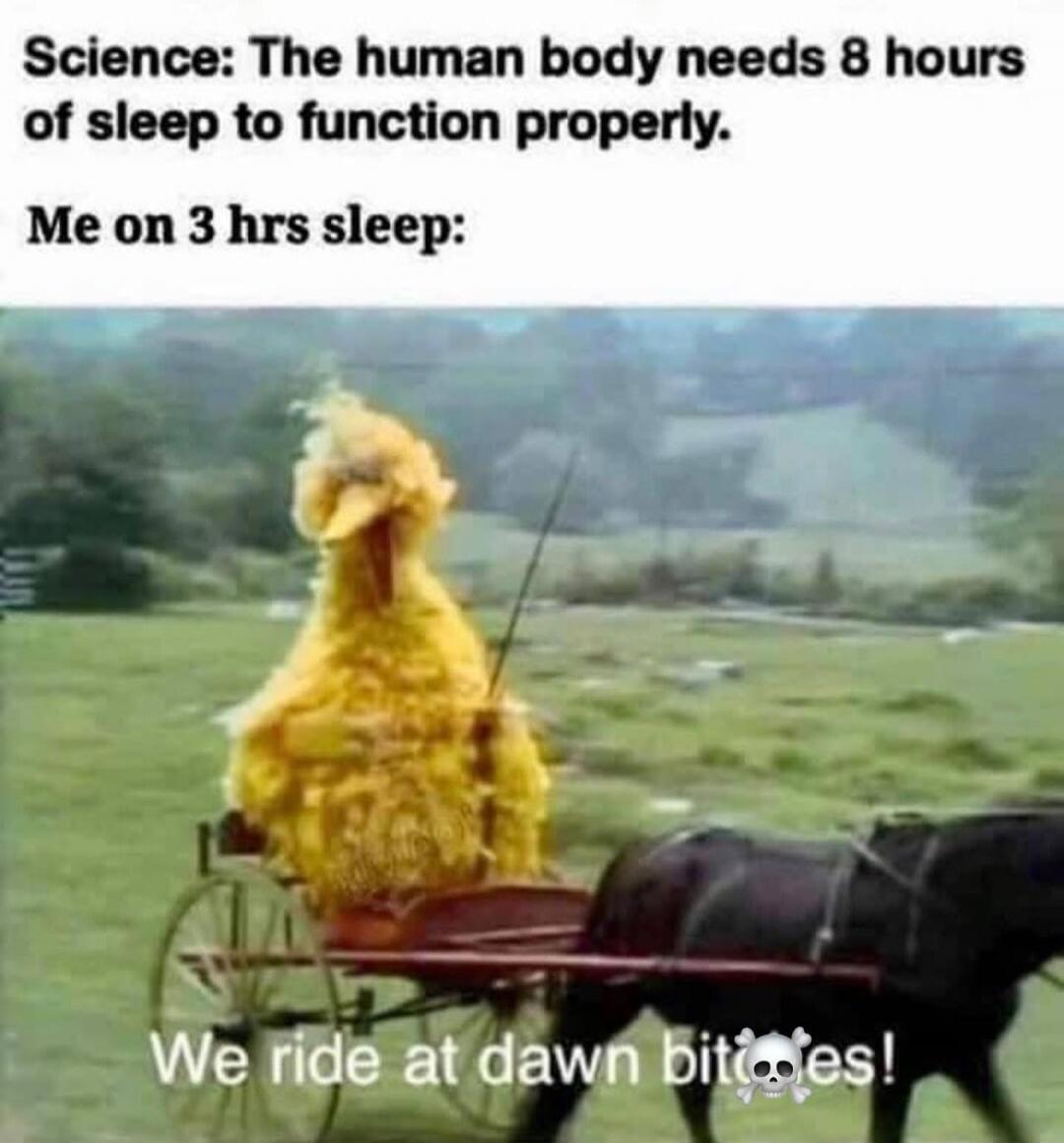 Science: The human body needs 8 hours of sleep to function properly.
Me on 3 hrs sleep:
We ride at dawn bitches!