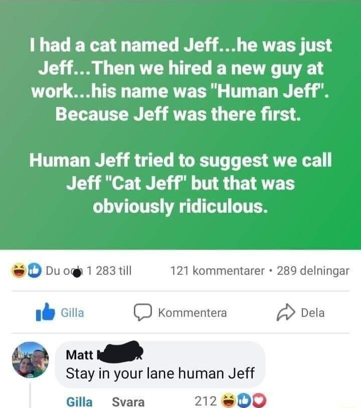 LT WL ET T Y A RV EY TR JeffThen we hired a new guy at LT T T ERVERRG T ET N g Because Jeff was there first Human Jeff tried to suggest we call Jeff Cat Jeff but that was obviously ridiculous O Duog 1283t 121 kommentarer 289 delningar il cia Kommentera Dela Stay in your lane human Jeff Gilla Svara