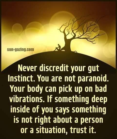 Never discredit your gut Instinct. You are not paranoid. Your body can pick up on bad vibrations. If something deep inside of you says something is not right about a person or a situation, trust it. sun-gazing.com