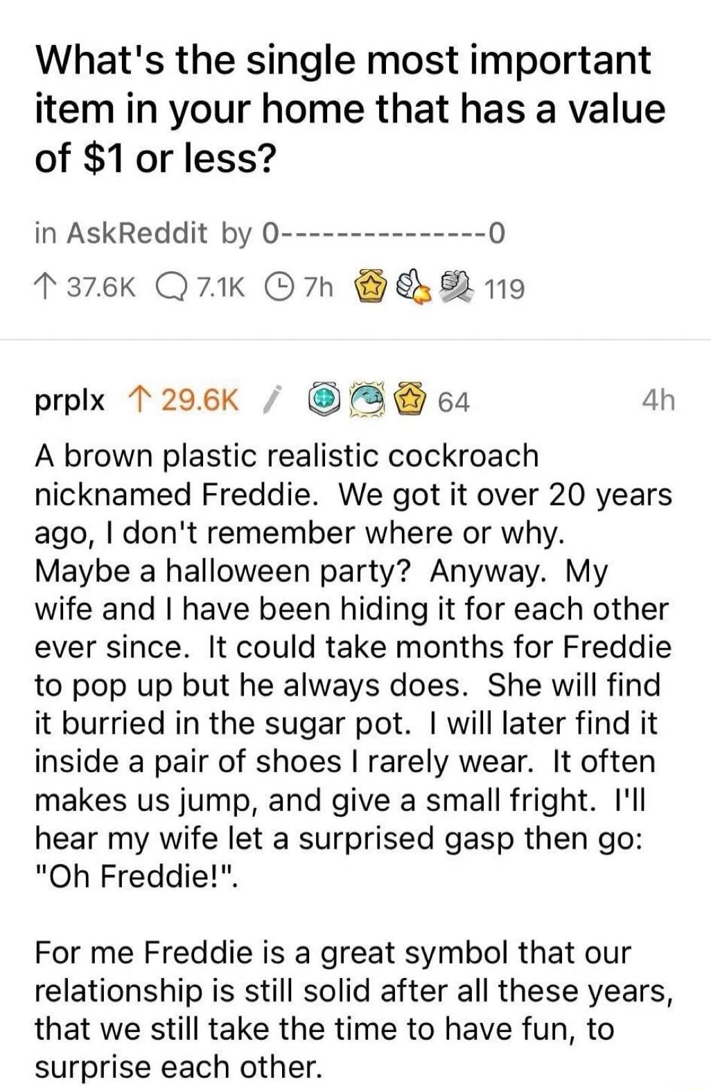 What's the single most important item in your home that has a value of $1 or less? A brown plastic realistic cockroach nicknamed Freddie. We got it over 20 years ago, I don't remember where or why. Maybe a halloween party? Anyway. My wife and I have been hiding it for each other ever since. It could take months for Freddie to pop up but he always d