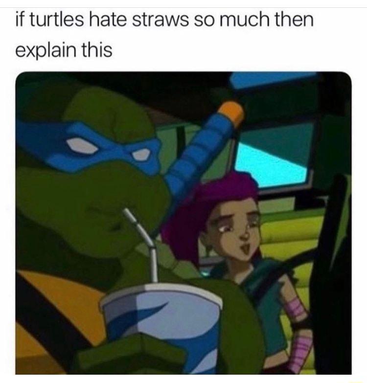 if turtles hate straws so much then explain this